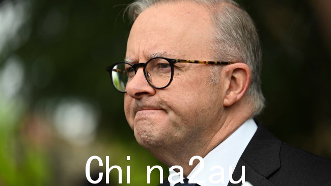 Albanese 先生出现在周二 7:30 的报道中讨论了这个问题。图片:NCA NewsWire / Martin Ollman