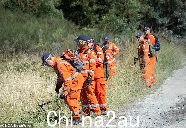 包括 SES 志愿者(如图)在内的紧急救援人员在周边地区搜寻,对墨菲女士的绝望搜寻仍在继续