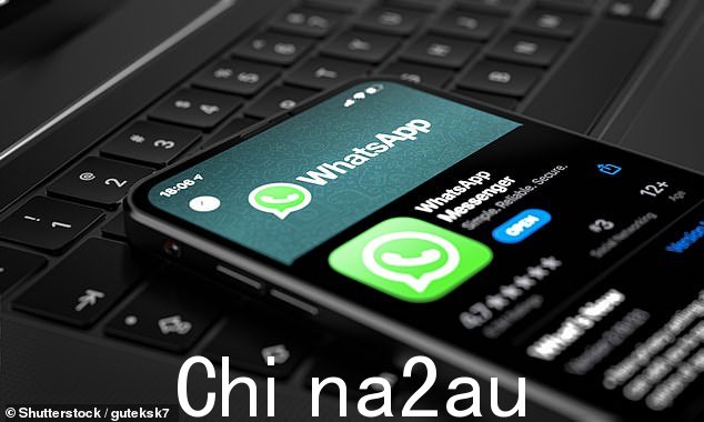 WhatsApp 群组涉及创意产业中的犹太成员,以响应亲巴勒斯坦活动人士的活动