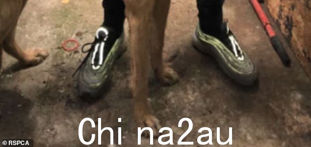 独特的训练鞋让调查人员能够将克劳福德识别为恐怖视频中的男子