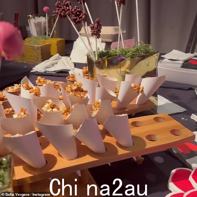 她在聚会上炫耀了零食