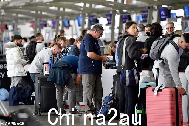 仅两名工人请病假就造成了大范围的混乱。图为悉尼机场