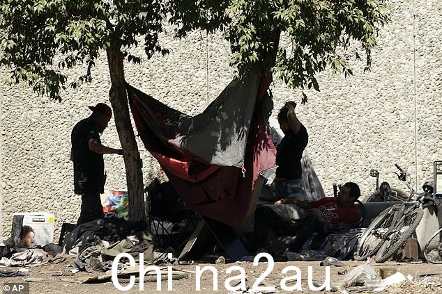 萨克拉门托的一棵树遮荫的无家可归者营地