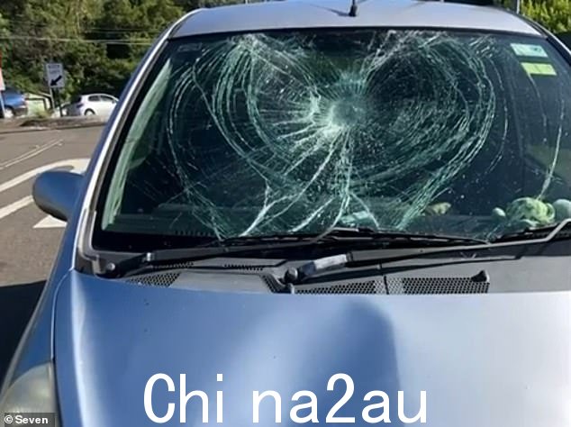 据称,戴维斯女士带着孩子驾驶的车辆在涉嫌劫车未遂事件中遭到袭击,造成了损坏