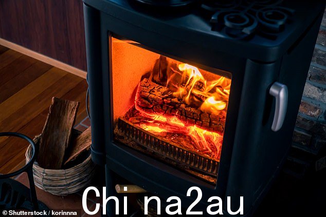 数据显示,人们在国内燃烧木材造成的污染增加正在抵消汽车、卡车和电力生产造成的污染下降