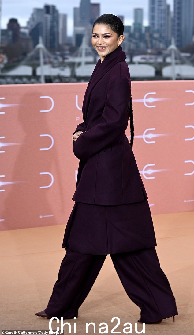 Zendaya 饰演 Chani,弗雷曼人的成员,弗雷曼人是一个生活在阿拉基斯沙漠中的部落,他们学会了如何在无情的炎热中生存