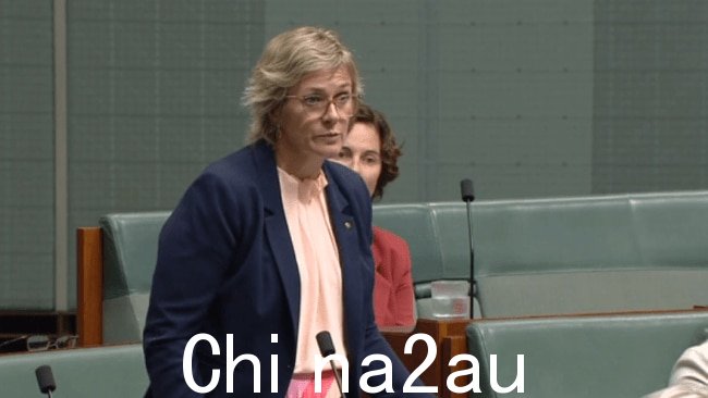 独立议员 Zali Steggall 询问 Anthony Albanese 是否会考虑引入随机酒精以及向议会进行的药物测试。图片：提供的