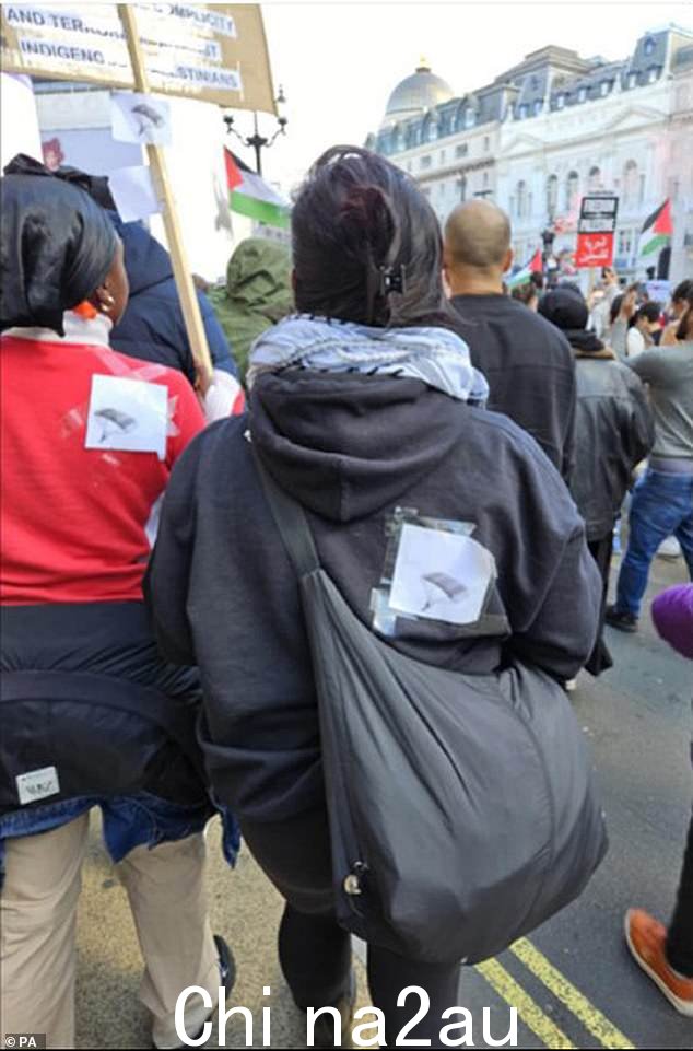 辩护律师认为降落伞是巴勒斯坦艺术中解放的普遍象征,但法官驳回了这一说法,称他“确定”指的是哈马斯袭击” class=