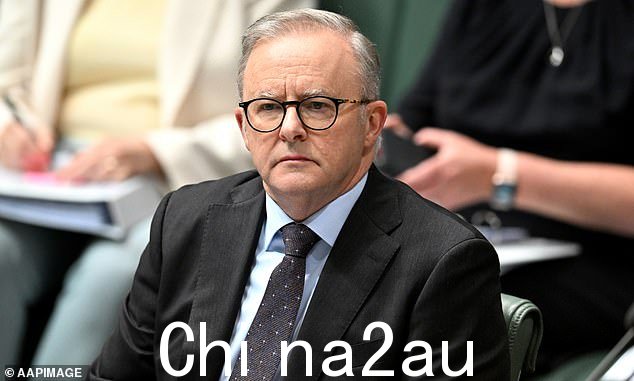 总理安东尼·阿尔巴内塞 (Anthony Albanese) 呼吁北悉尼熊队 (North Sydney Bears) 和纽敦喷气机队 (Newtown Jets) 在未来十年内参加 20 支球队的 NRL 比赛,这引起了人们的注意