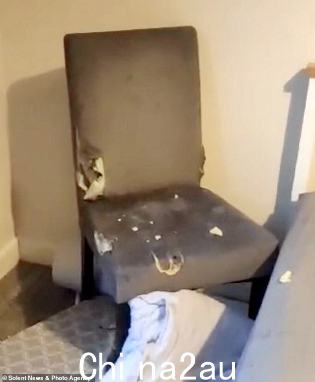 他们设法把这只动物关进笼子后,他们放了他,说他只是在冒险结束后小跑进了夜色 - 其中包括撕毁了这把椅子