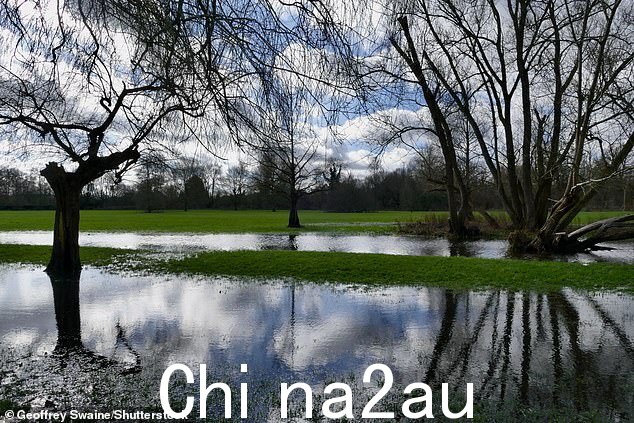 本周早些时候因倾盆大雨而导致土地被淹的地区已发布洪水警报(如图:周五牛津郡泰晤士河畔亨利的米尔和沼泽草甸)
