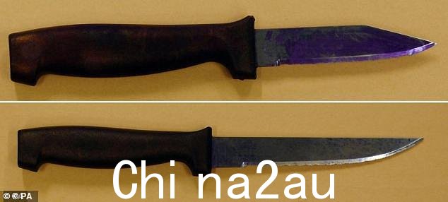 Roshonara Choudhry 用顶刀和三英寸刀片刺伤了蒂姆斯先生,并携带了五英寸刀片的第二把武器作为备用武器,以防第一把刀断裂
