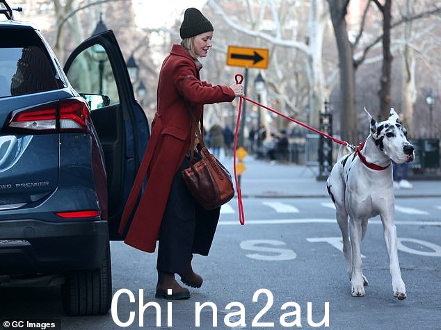 Naomi 注意到 Bing 比她的救援犬 Izzy 大得多,Izzy 是一只小型凯恩梗和贵宾犬的混合体