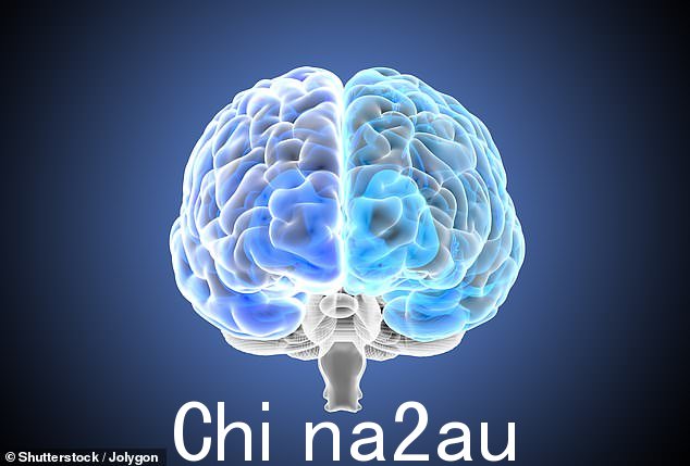 AI 模型识别的主要差异在于默认模式网络、纹状体和边缘网络