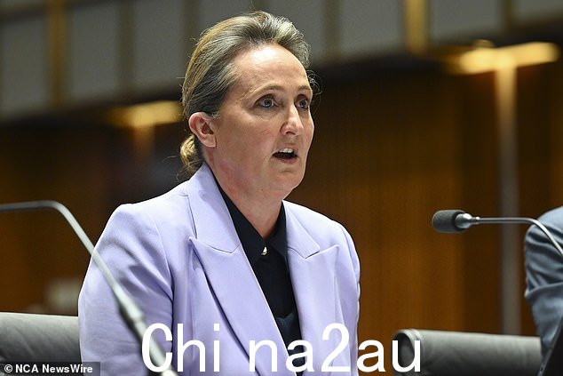 坏消息是 Vanessa Hudson 自去年 9 月接替四面楚歌的前任艾伦·乔伊斯担任首席执行官以来首次公布业绩
