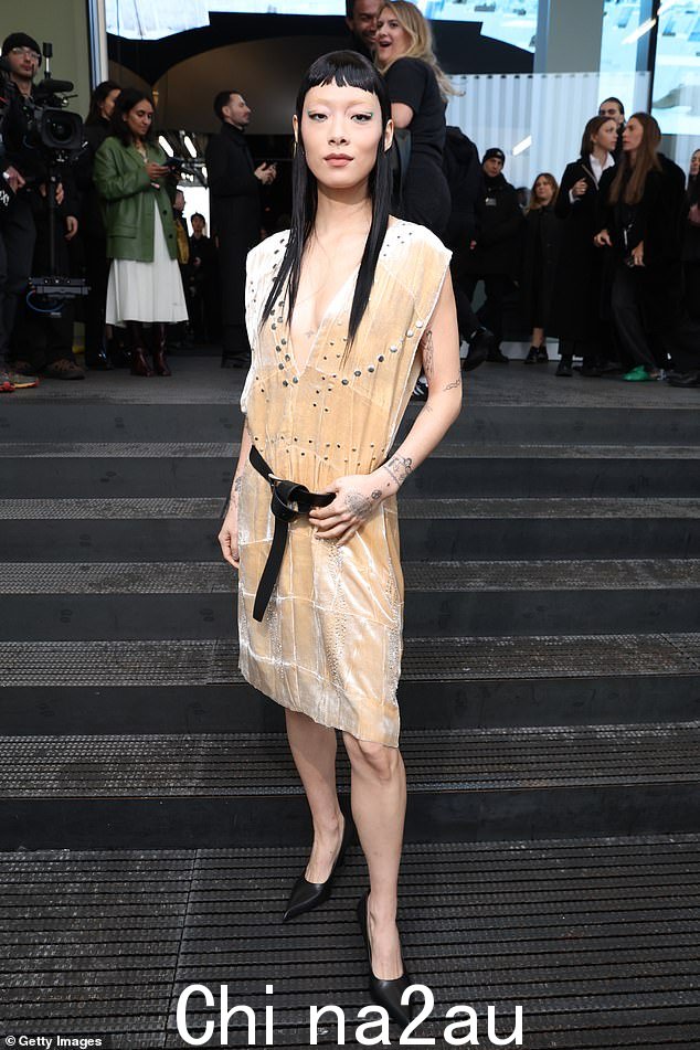 泽山里奈 (Rina Sawayama) 身穿香槟色天鹅绒连衣裙,尽显优雅气质