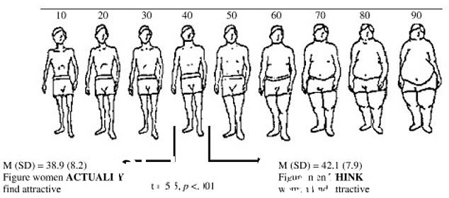 以上显示了男性腰围的变化。研究显示,在接受调查的女大学生中,她们更喜欢运动能力更强的男性