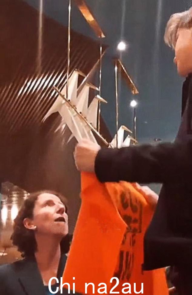 苏纳克先生补充道:“我们的民主不能也不应该屈从于暴力和恐吓的威胁,或者陷入互相仇恨的两极分化阵营”(如图:工党主席 Anneliese Dodds 面对“停止石油”组织抗议者)
