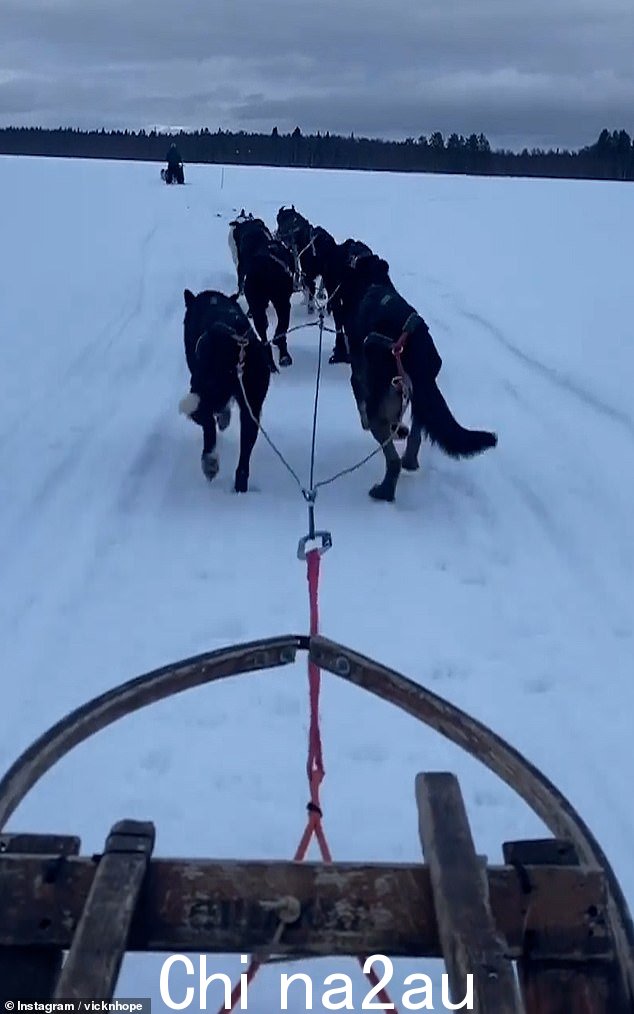 在第一个剪辑中,可以看到一群狗扛着雪橇在雪地里跳跃