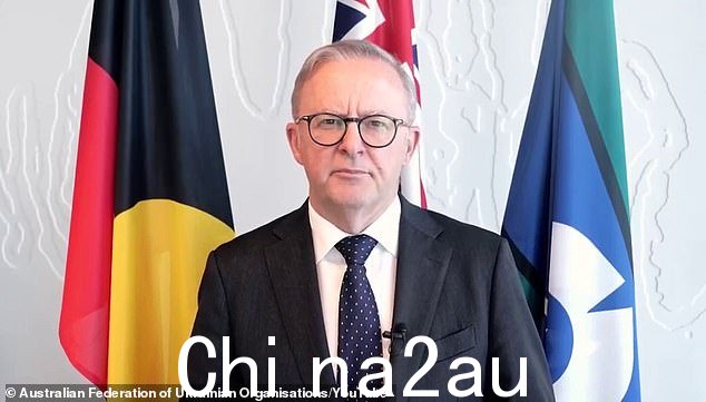 总理安东尼·阿尔巴内塞受到猛烈抨击在支持乌克兰的国际信息中几乎完全遮盖了澳大利亚国旗(如图)