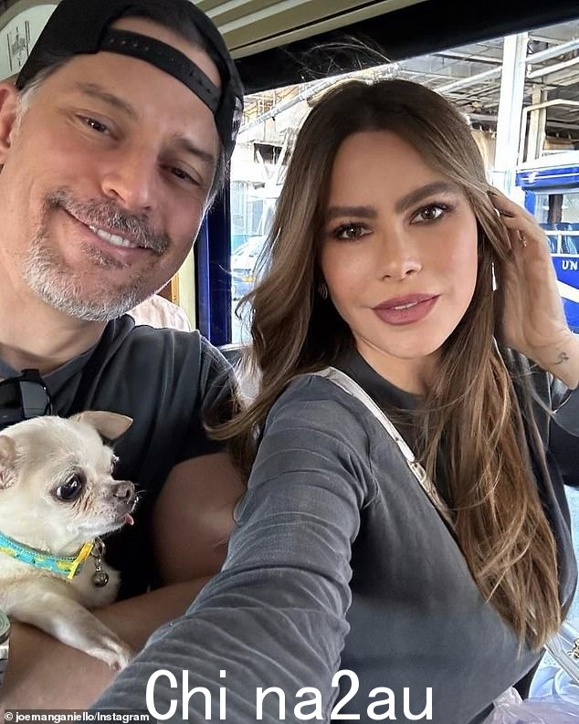 乔的前妻索菲亚·维加拉 (Sofia Vergara) 允许他在离婚期间拥有泡泡的完全监护权,离婚已于本月早些时候完成