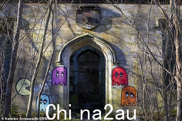 废弃的房产吸引了涂鸦艺术家,他们在墙上喷漆