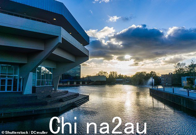 当他的父亲联系大学时,担心没有得到他全优儿子的消息,计算机科学专业的学生被发现窒息在自己的房间里,他的包还装满了