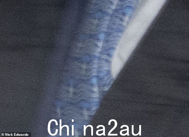 君主缺席其表弟服役的第二天,领带上似乎覆盖着飘扬的希腊国旗