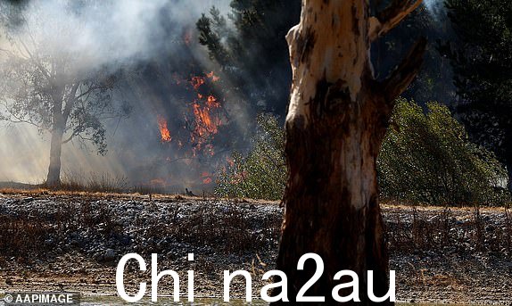 周三，维多利亚州博福特郊外的围场发生火灾， 2024 年 2 月 28 日。大约 30,000 名维州人被告知离开家园，因为该州正准备应对灾难性的丛林大火。 （AAP 图片/Con Chronis）无存档