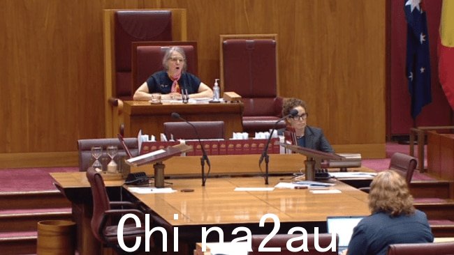 参议员路易丝·普拉特 (Louise Pratt) 被莉迪亚指控索普坐在椅子上“睡着了”。图片：Senate