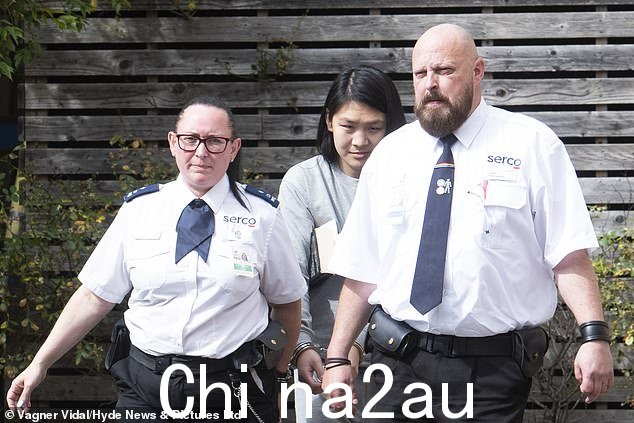 目前,部队可以在犯罪统计中记录出生性别,但这是自愿的,并且始终记录被拘留者的首选性别