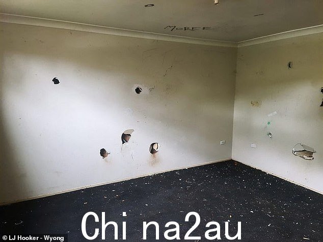 房子的窗户用木板封住,石膏墙上有洞,天花板上有涂鸦,并被宣传为“装修者的喜悦”