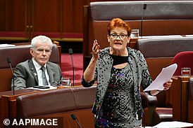 Senator Pauline Hanson demanded a ban on Welcome to公投失败后的乡村仪式