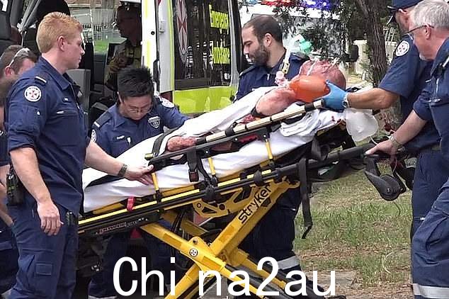 Amatto 先生被拍成跟随恐怖狗袭击
