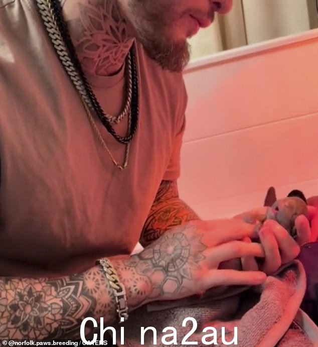 利亚姆立即开始执行心肺复苏术并使用毛巾帮助狗