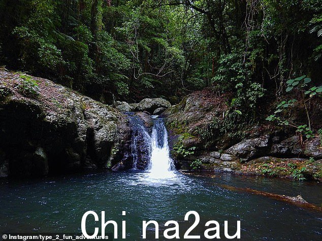 Ujvala Vemuru,20 多岁,在 Yanbacoochie 瀑布不幸坠落身亡(如图)