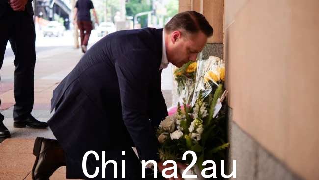 布里斯班市长阿德里安·施林纳 (Adrian Schrinner)访问该网站向卡梅伦致敬。图片:Facebook/市长阿德里安·施林纳