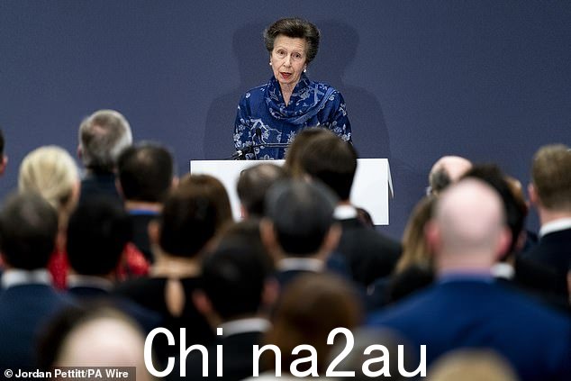 Anne 补充说,'有时关键是诈骗者本身没有认真对待他们的犯罪行为'