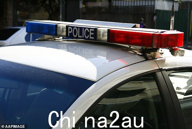 塔格拉湖警区的警官到达现场,看到汽车的前排乘客车窗微开,所有车门都关闭,发动机关闭