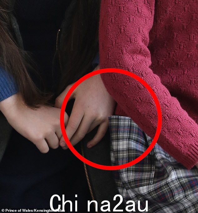 夏洛特裙子的一角被社交媒体侦探指出是另一个“编辑错误”