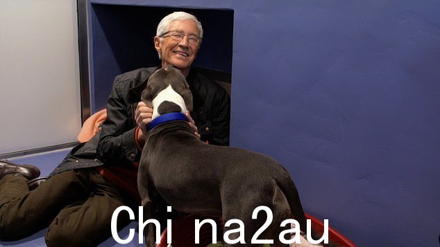 Paul O'Grady 是巴特西狗狗之家的大使,并在他的电视节目中展示了待收养的狗狗