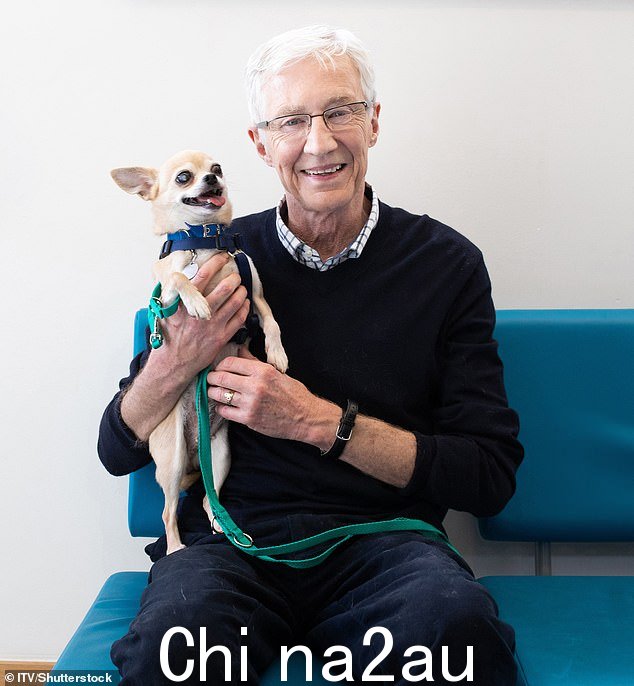 Paul O'Grady 和 Princess,一只美丽的 11 岁吉娃娃,没有结束的疾病