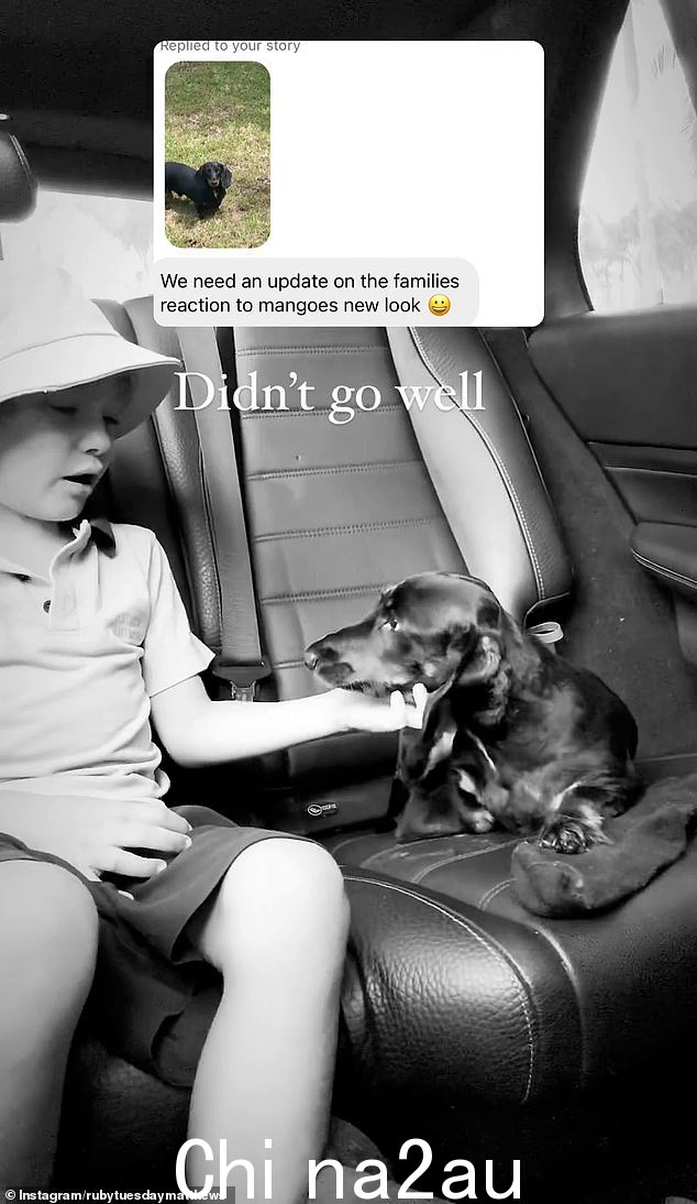 这位 30 岁的网红在 Instagram 上发布了一段视频,捕捉到她的小宝贝看到自己刚剪毛的小狗后在汽车后座上惊慌失措的画面