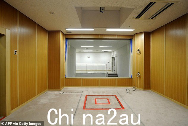 一般视图显示活板门,上面有一个滑轮,上面连接着绳子和绞索