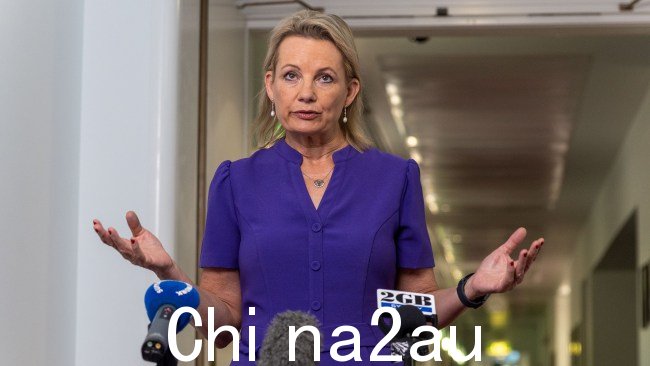 副反对党领袖苏珊·莱伊 (Sussan Ley) 指责安东尼·艾博尼斯 (Anthony Albanese) “背弃”他对宗教自由法的信念总理宣布,如果没有两党支持,他不会推进改革。图片:NCA NewsWire/Gary Ramage