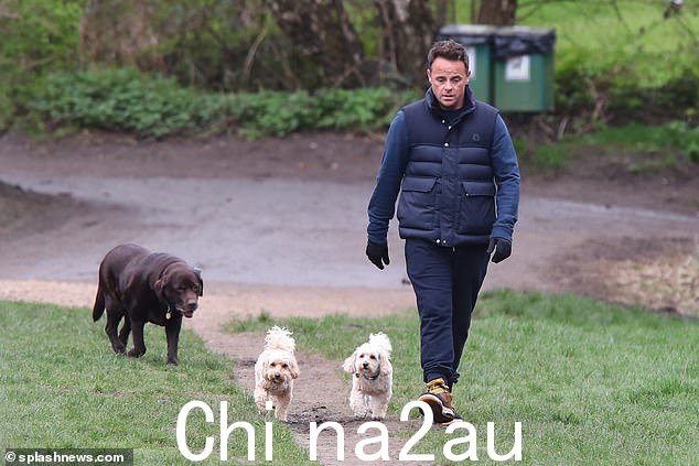 Ant 将于 6 月首次成为爸爸,这与去年 6 月 4 日决赛播出后的比赛直播相吻合