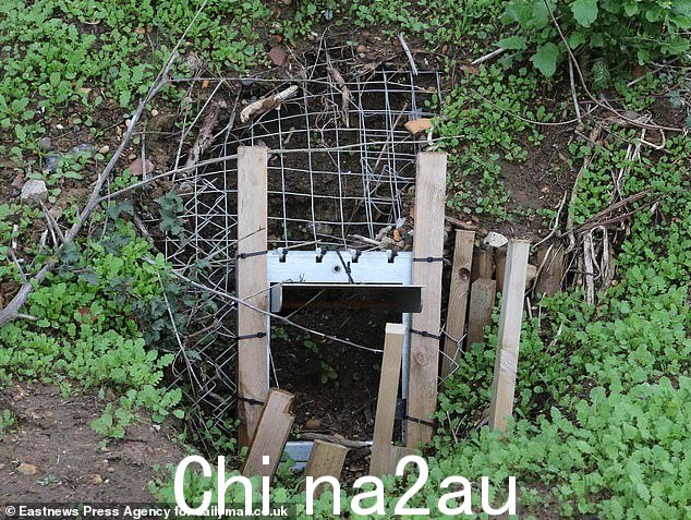 如图是巨大的獾石凳的入口。獾在英国是受保护物种,现在 11 月至 7 月期间不能移动