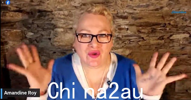 千里眼阿曼丁·罗伊是指控法国总统伊曼纽尔 70 岁的妻子布丽吉特·马克龙在某种程度上是个男人的两名女性之一