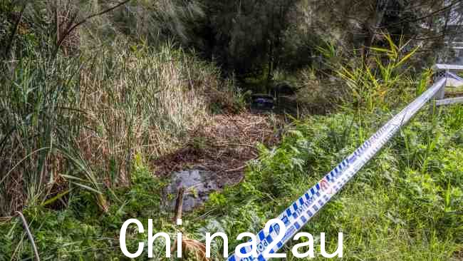 警方在收到有关一辆汽车驶离 Dee Why 的 Pittwater 路道路的报告后做出了反应，然后冲过灌木丛并落入 Dee Why 泻湖。图片：NCA NewsWire / Monique Harmer