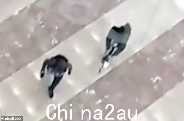 昨晚音乐厅大屠杀期间两名枪手的照片